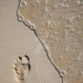 Footprint on the beach