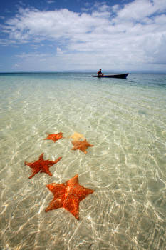 Bocas del Toro