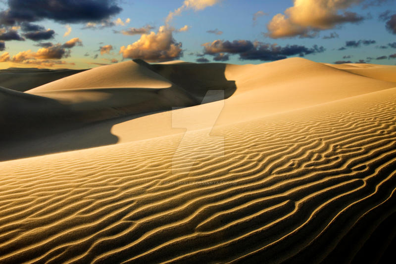 Sand Dune Sunrise