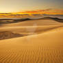 Dune Dawn.More