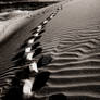 Dune Footprints