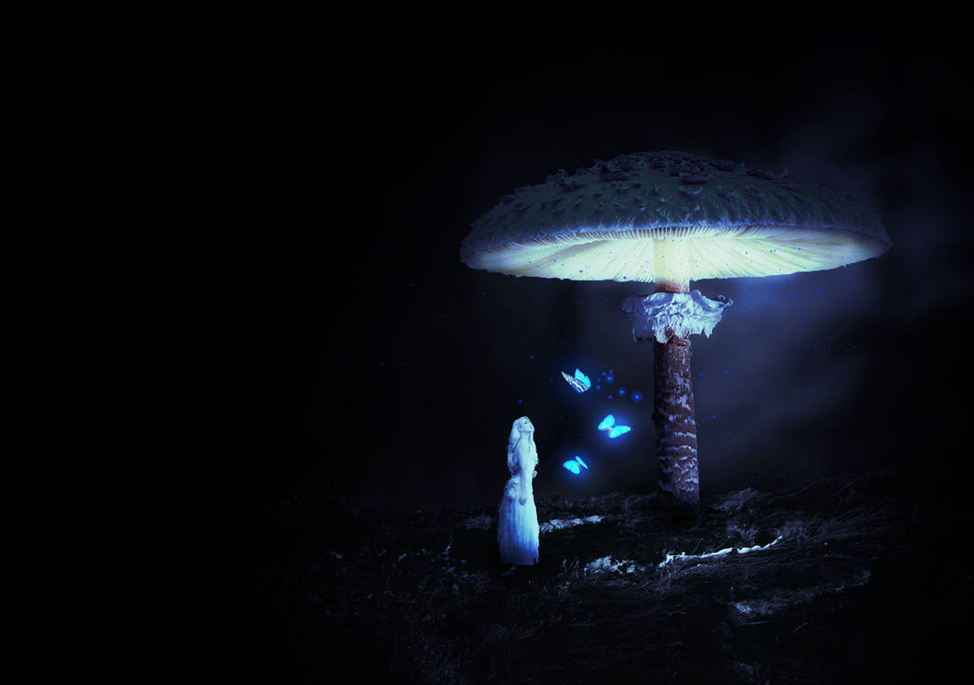 SurrealMushroomForest