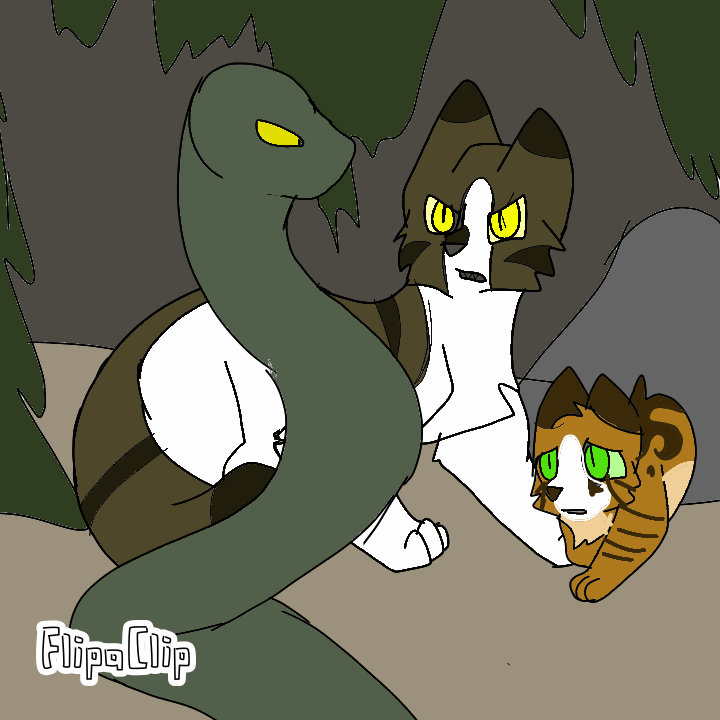 Cat Defends Friend Defend a friend by frostthecat01 on DeviantArt