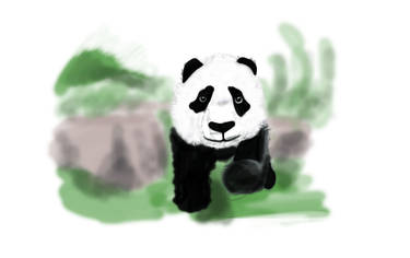 Panda speedpaint