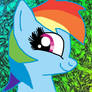 Rainbow Dash