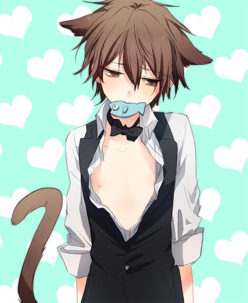 Neko Boy