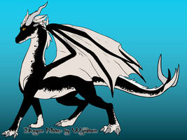 Black and White Dragon