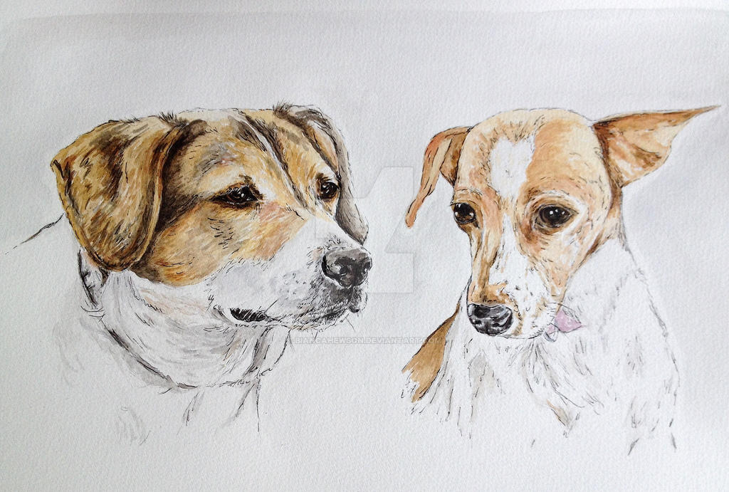 Two Dogs Portrait Two dogs, portraits of two loyal friends by biancahewson on DeviantArt