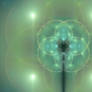 Day 31 - Calm Fractal