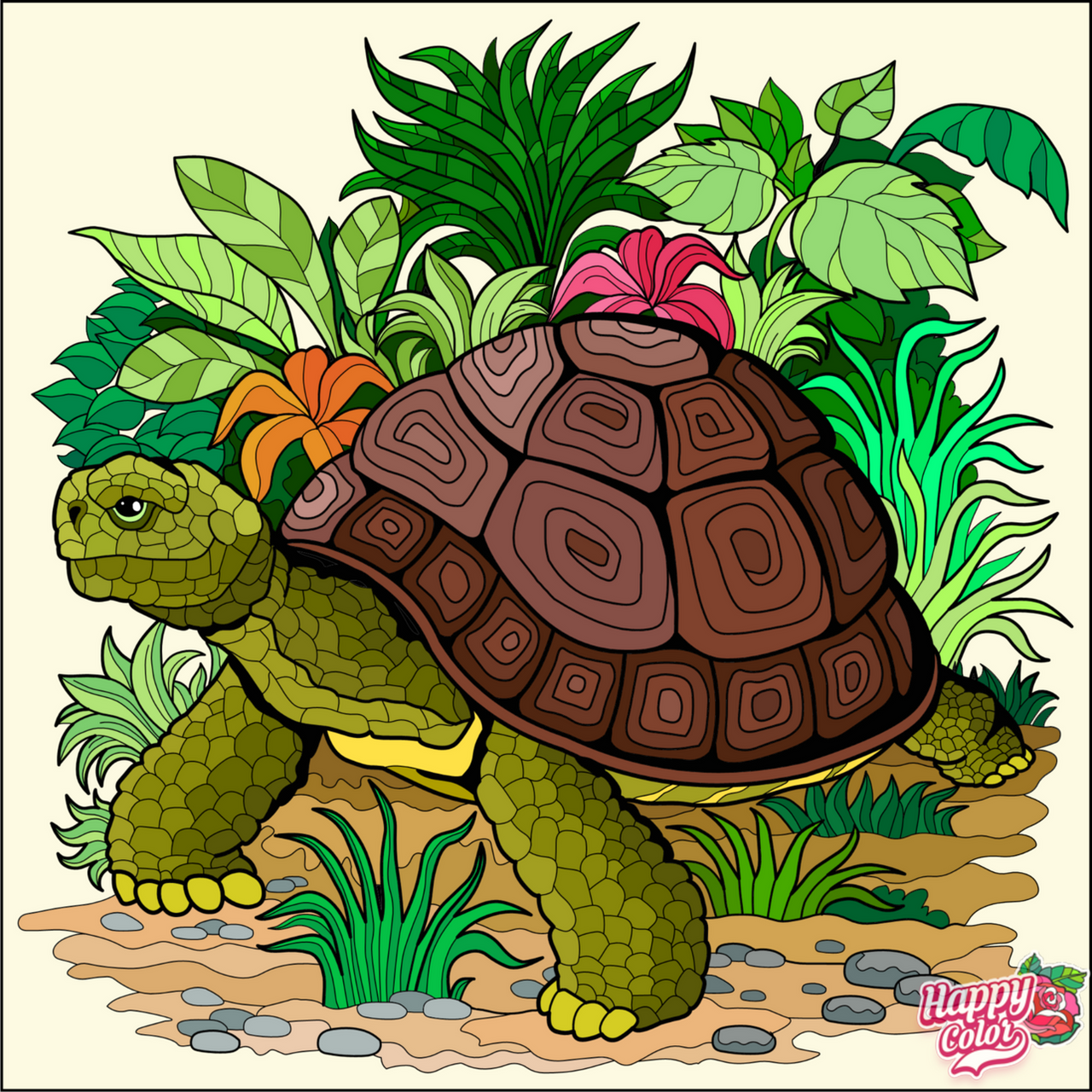 Happy Colour Tortoise by Mdwyer5 on DeviantArt