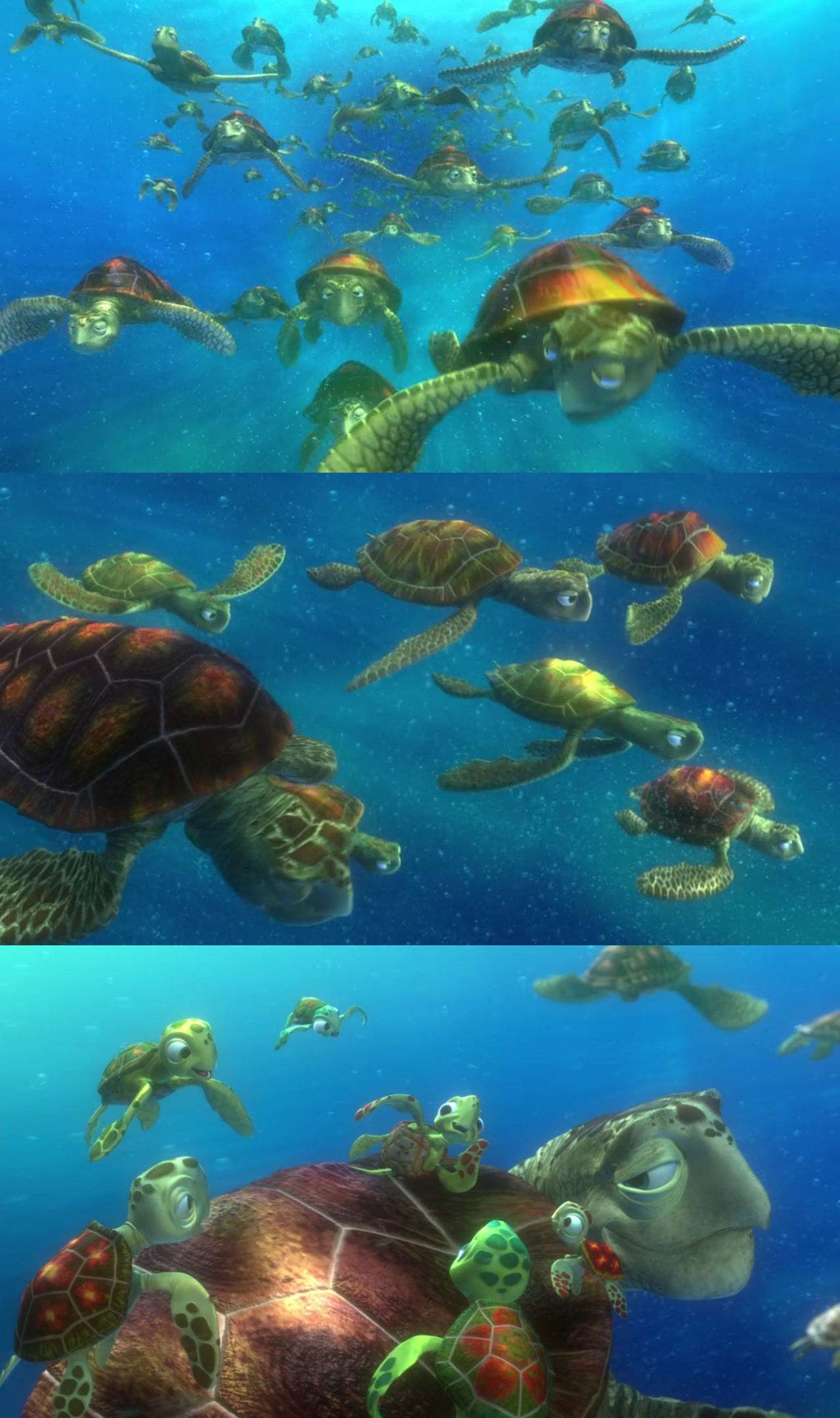 Finding Nemo Sea Turtles by Mdwyer5 on DeviantArt