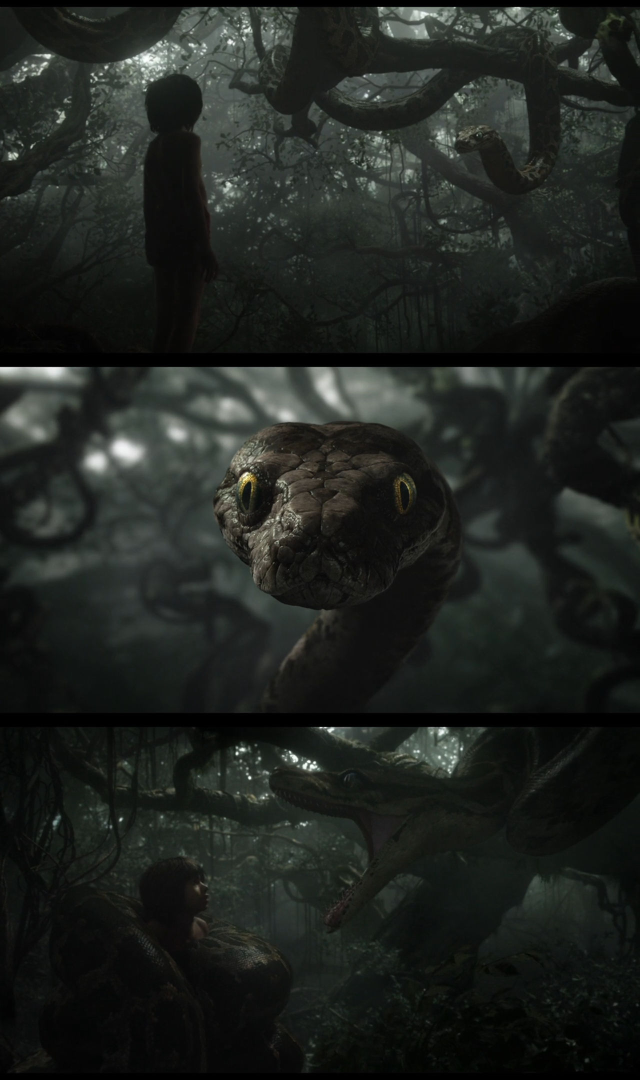 Kaa Scared Jungle Book Kaa by Mdwyer5 on DeviantArt