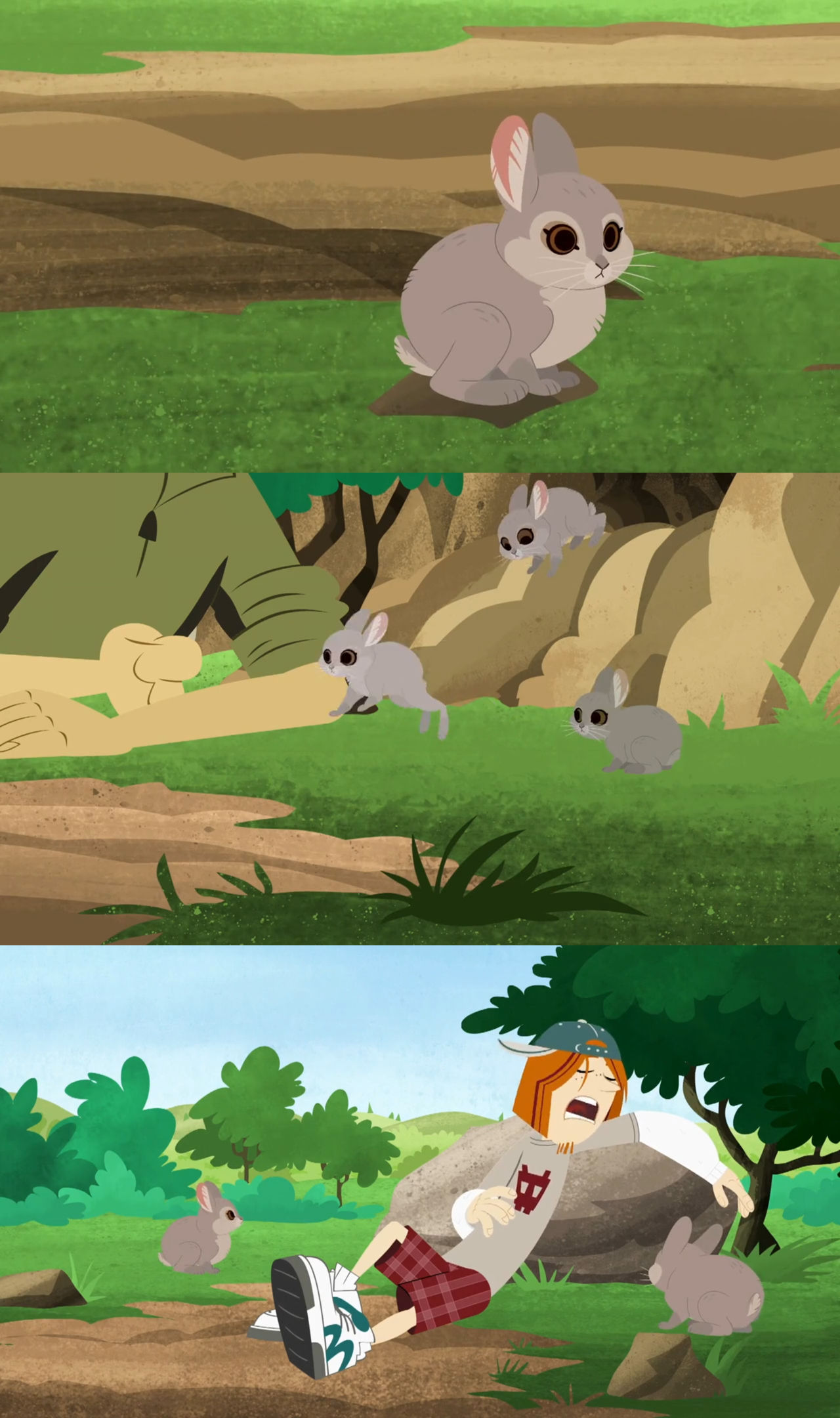 Wild Kratts Pygmy Rabbits by Mdwyer5 on DeviantArt