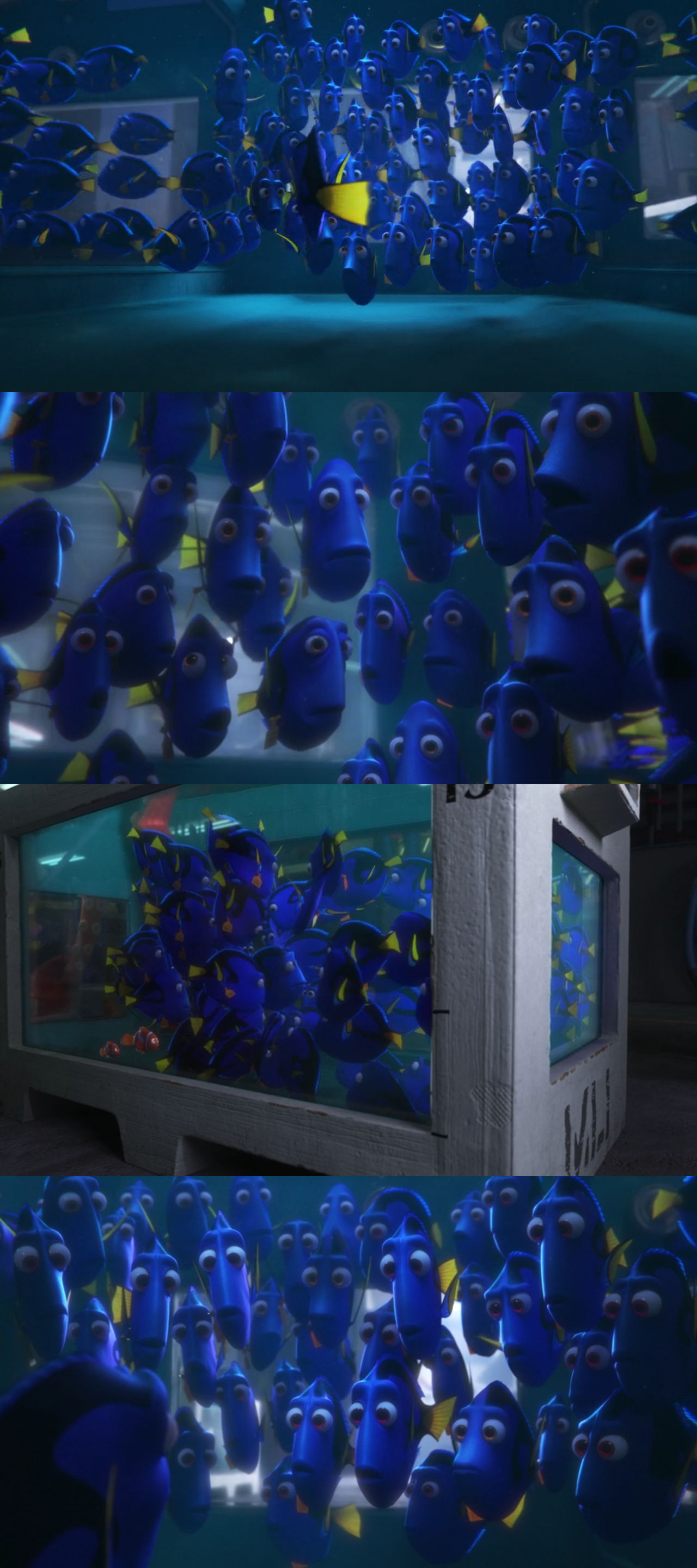 Finding 2 Finding Dory Regal Blue Tangs by Mdwyer5 on DeviantArt