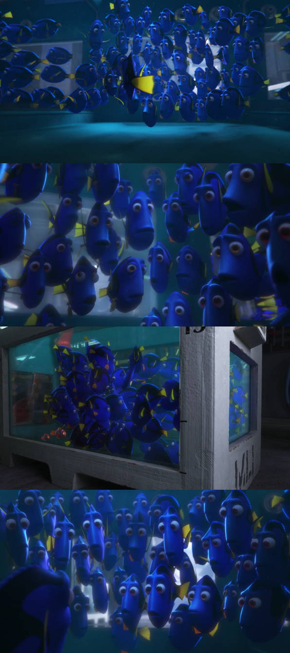Work Dory Finding Dory Regal Blue Tangs by Mdwyer5 on DeviantArt