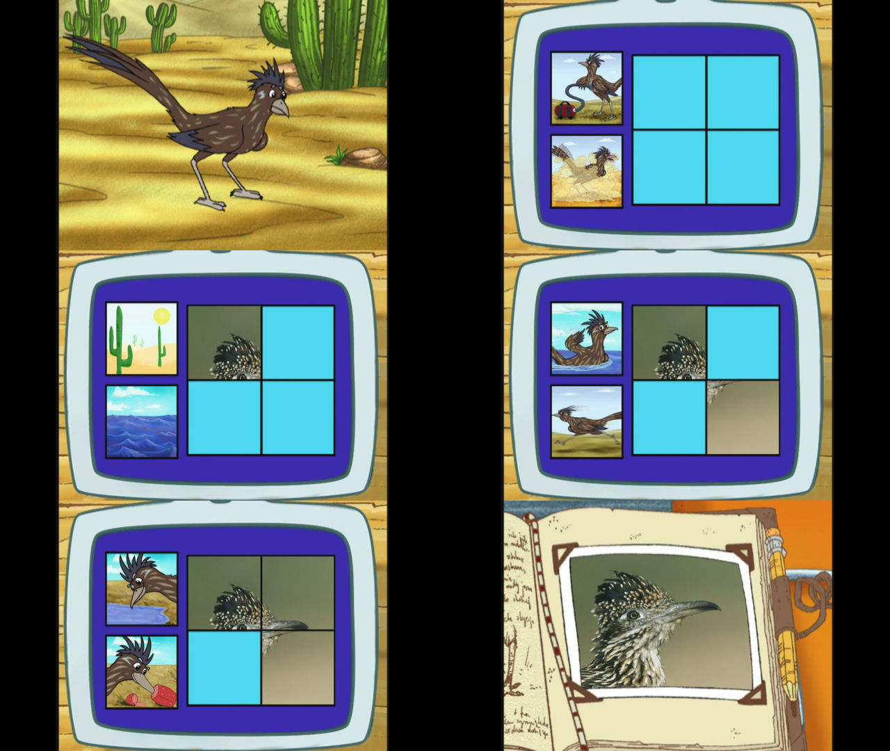 Go Diego Go Roadrunner by Mdwyer5 on DeviantArt