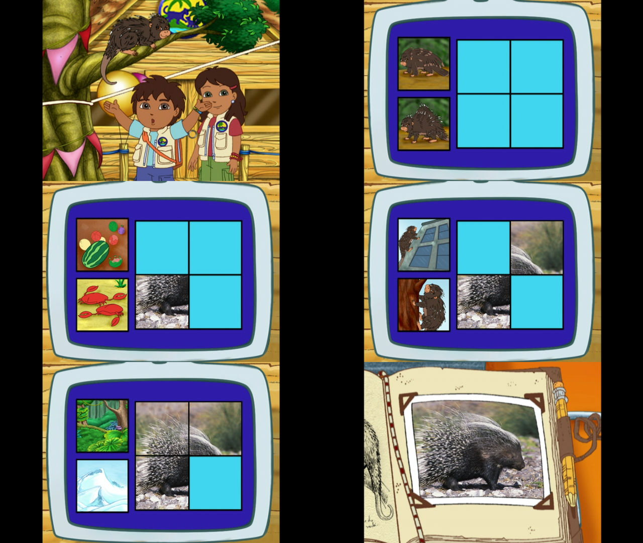 Go Diego Go Porcupine by Mdwyer5 on DeviantArt