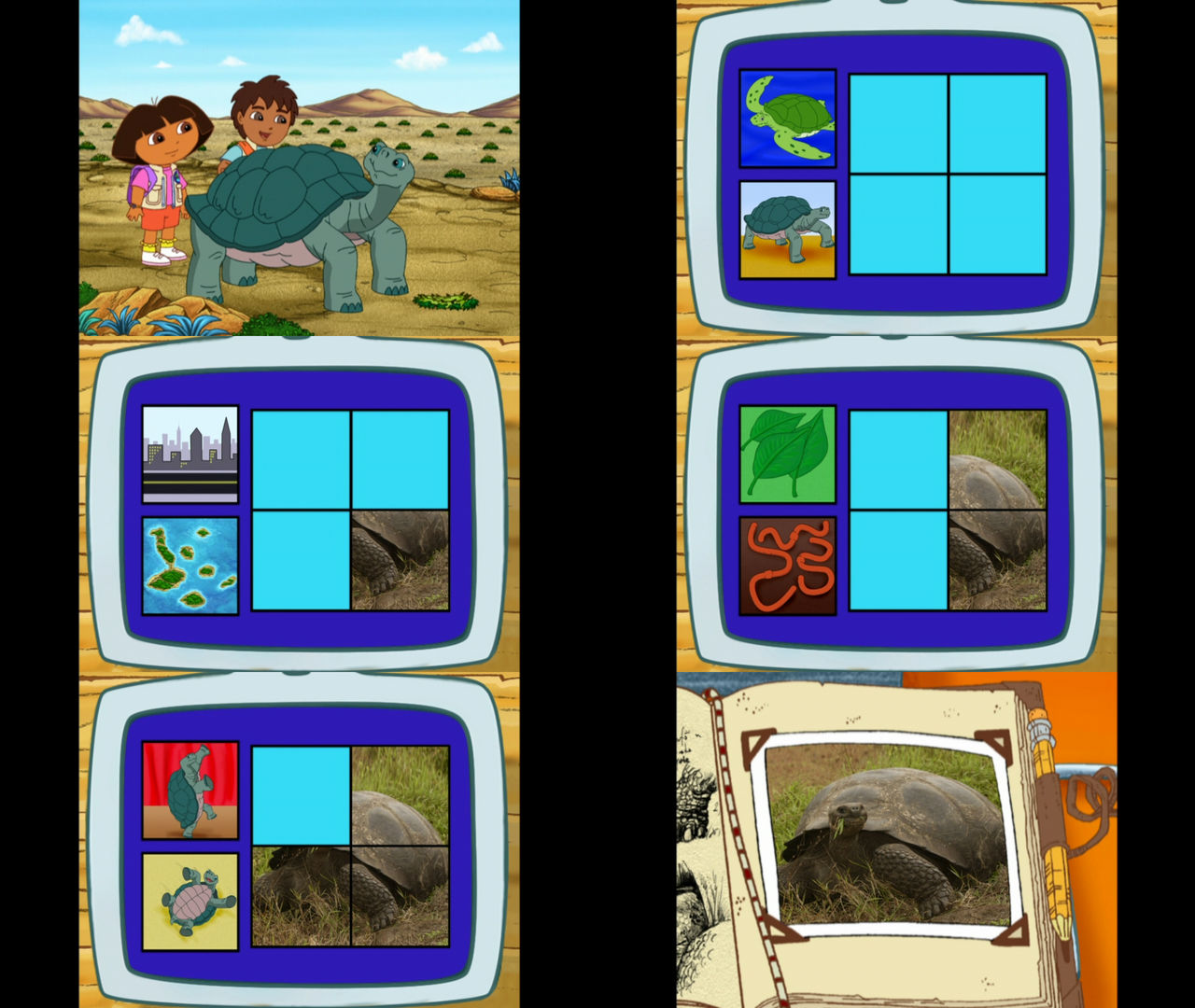 Go Diego Go Giant Tortoise by Mdwyer5 on DeviantArt