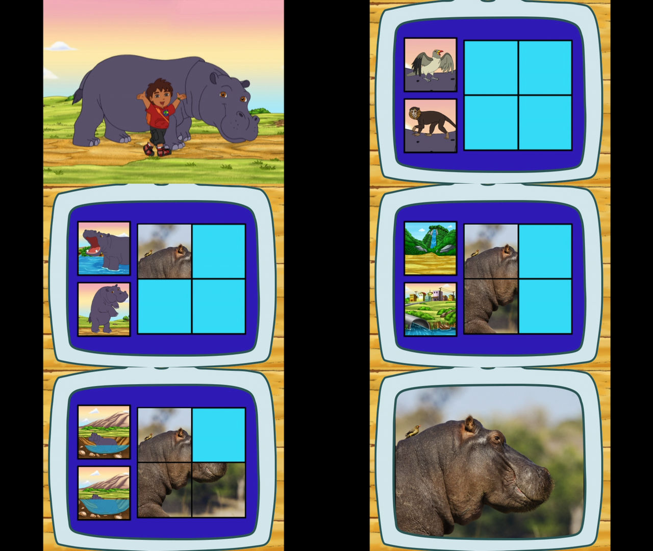 Go Diego Go Hippopotamus by Mdwyer5 on DeviantArt