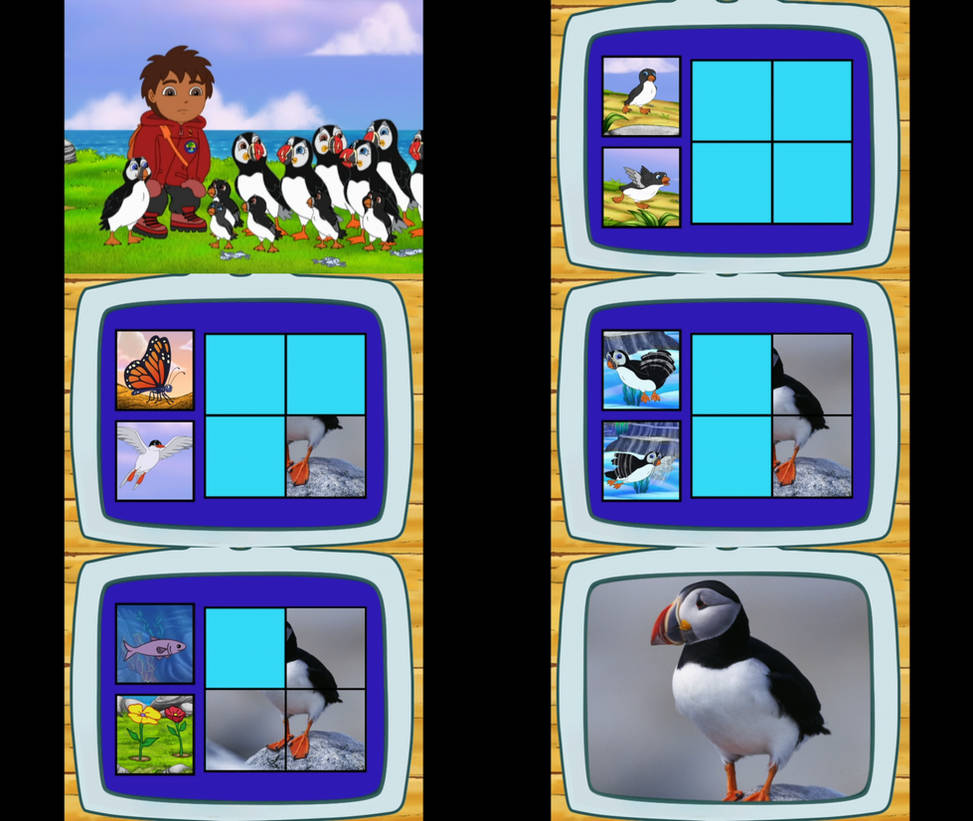 Go Diego Go Puffin by Mdwyer5 on DeviantArt