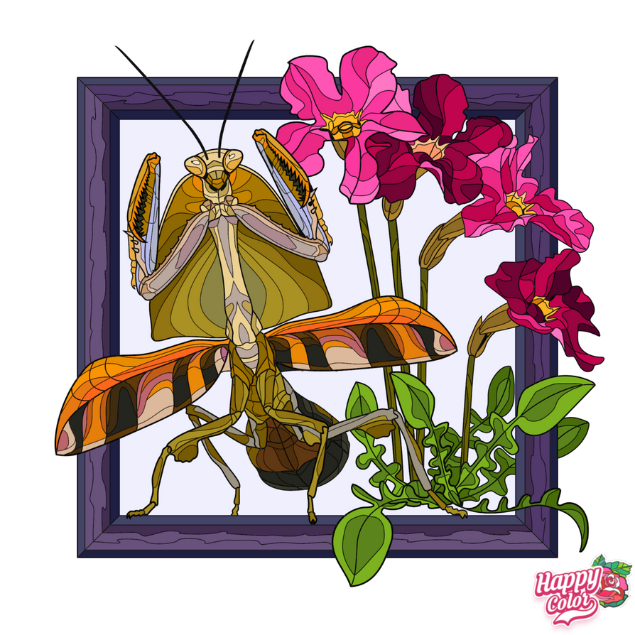Mantis Hex Code Happy Colour Mantis by Mdwyer5 on DeviantArt