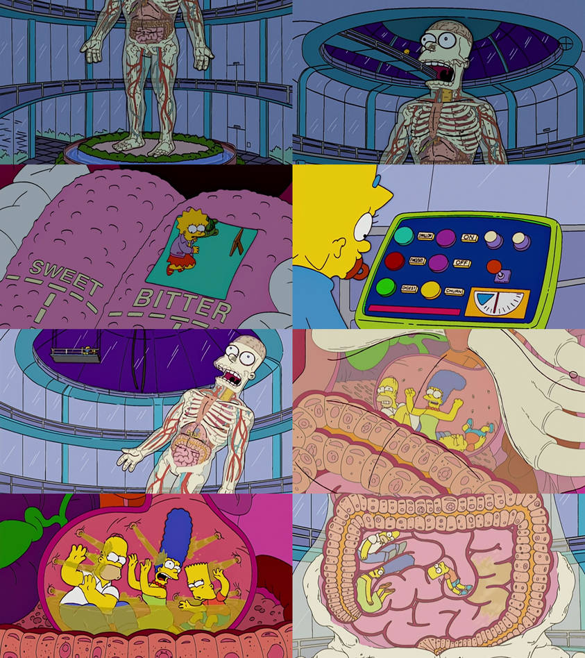 Simpsons Maypole Intestines Simpsons Digestive System by Mdwyer5 on DeviantArt