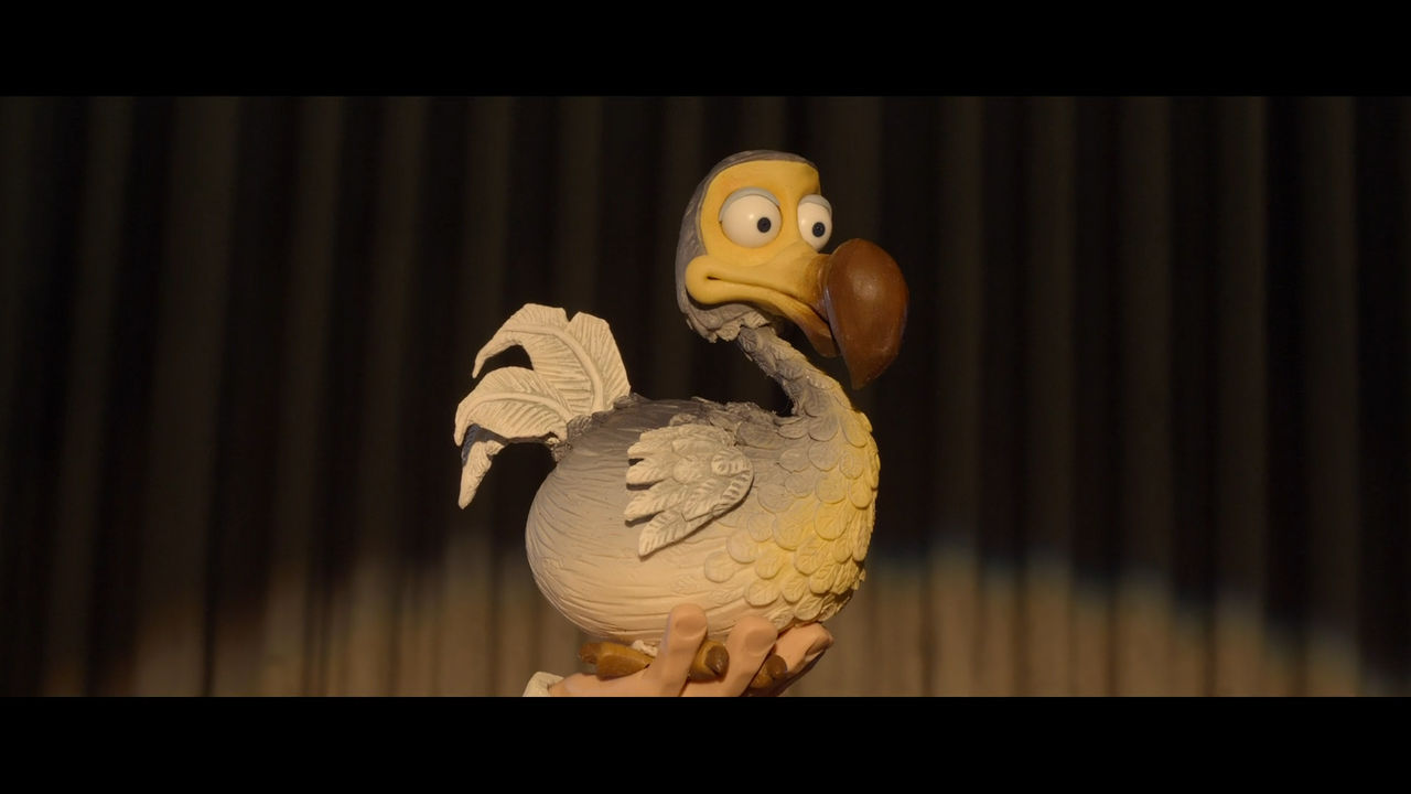 The Pirates Polly the Dodo Bird by Mdwyer5 on DeviantArt