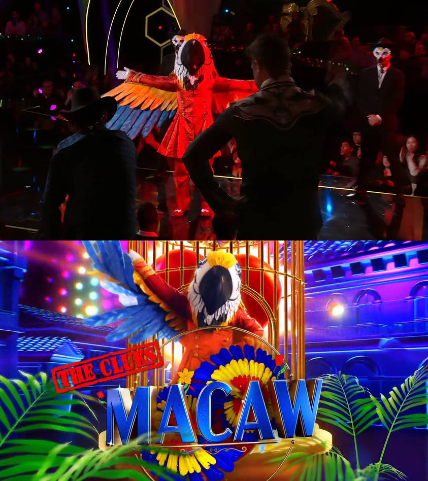 Who Is The Macaw On The Masked Singer 2025