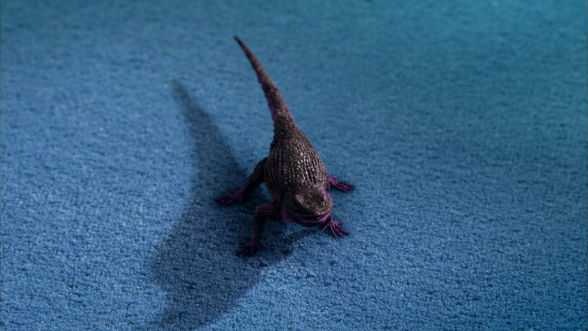 Lizard Form Descendants Maleficent Lizard Form by Mdwyer5 on DeviantArt