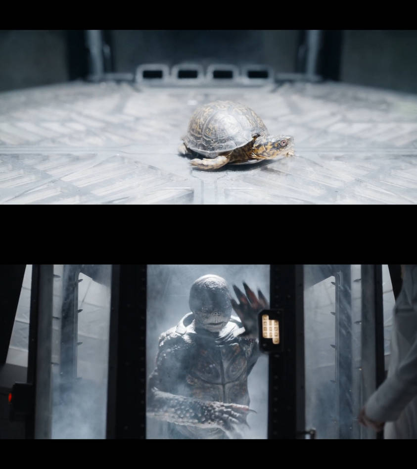 GOTG High Evolutionary Changes Turtle by Mdwyer5 on DeviantArt