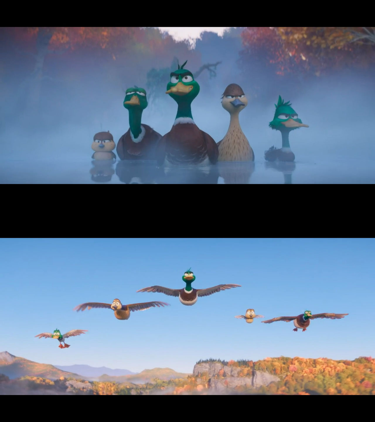 Migration Mallard Duck Family by Mdwyer5 on DeviantArt