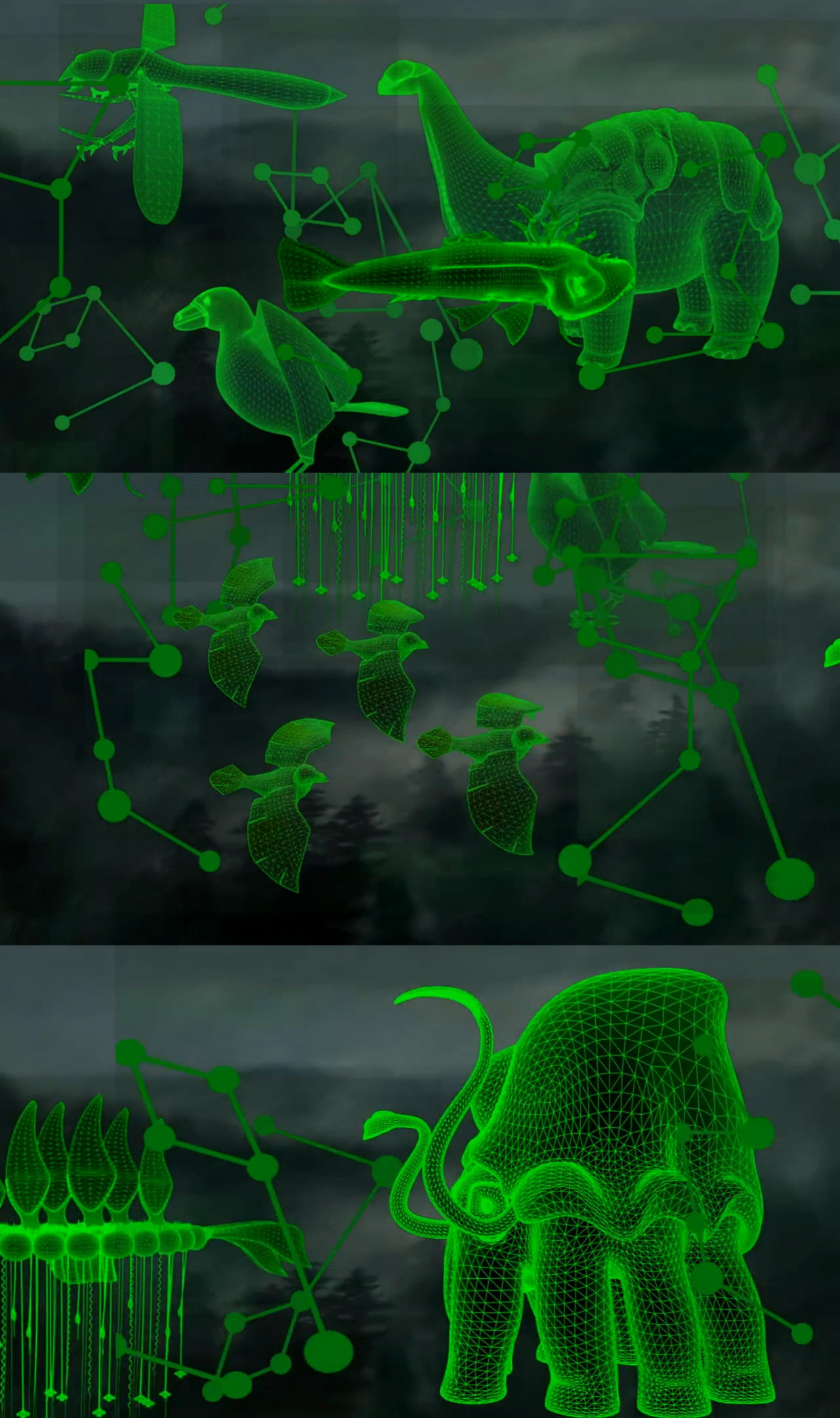 Future is Wild Creature Digital Diagrams by Mdwyer5 on DeviantArt