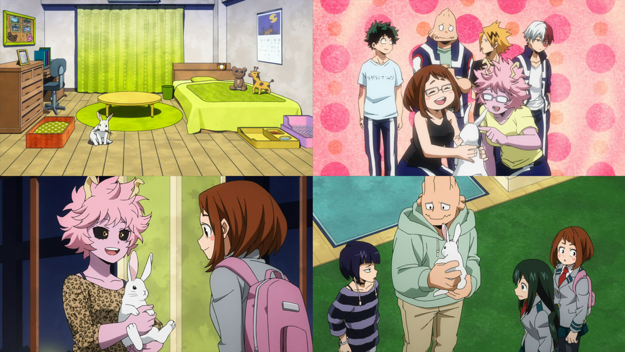 MHA Koda's Pet Rabbit by Mdwyer5 on DeviantArt