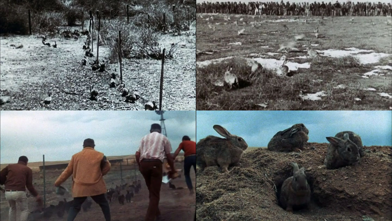 Night of the Lepus Rabbit War by Mdwyer5 on DeviantArt