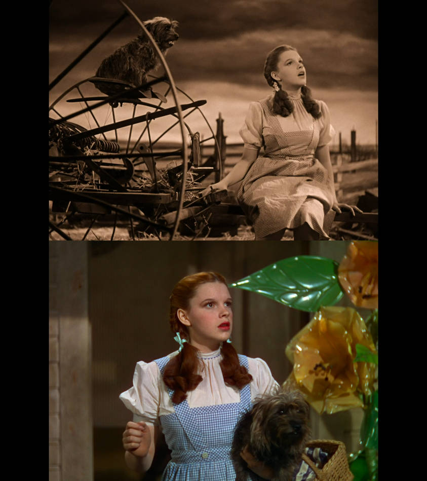 Wizard of Oz Dorothy Gale and Toto by Mdwyer5 on DeviantArt