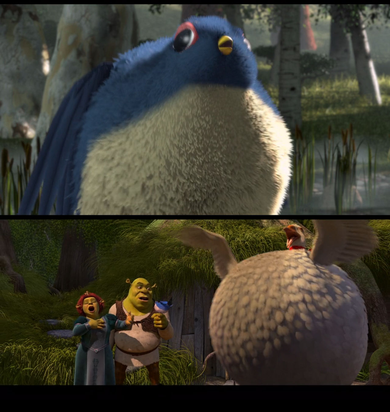 Shrek Birds Ready to Explode by Mdwyer5 on DeviantArt