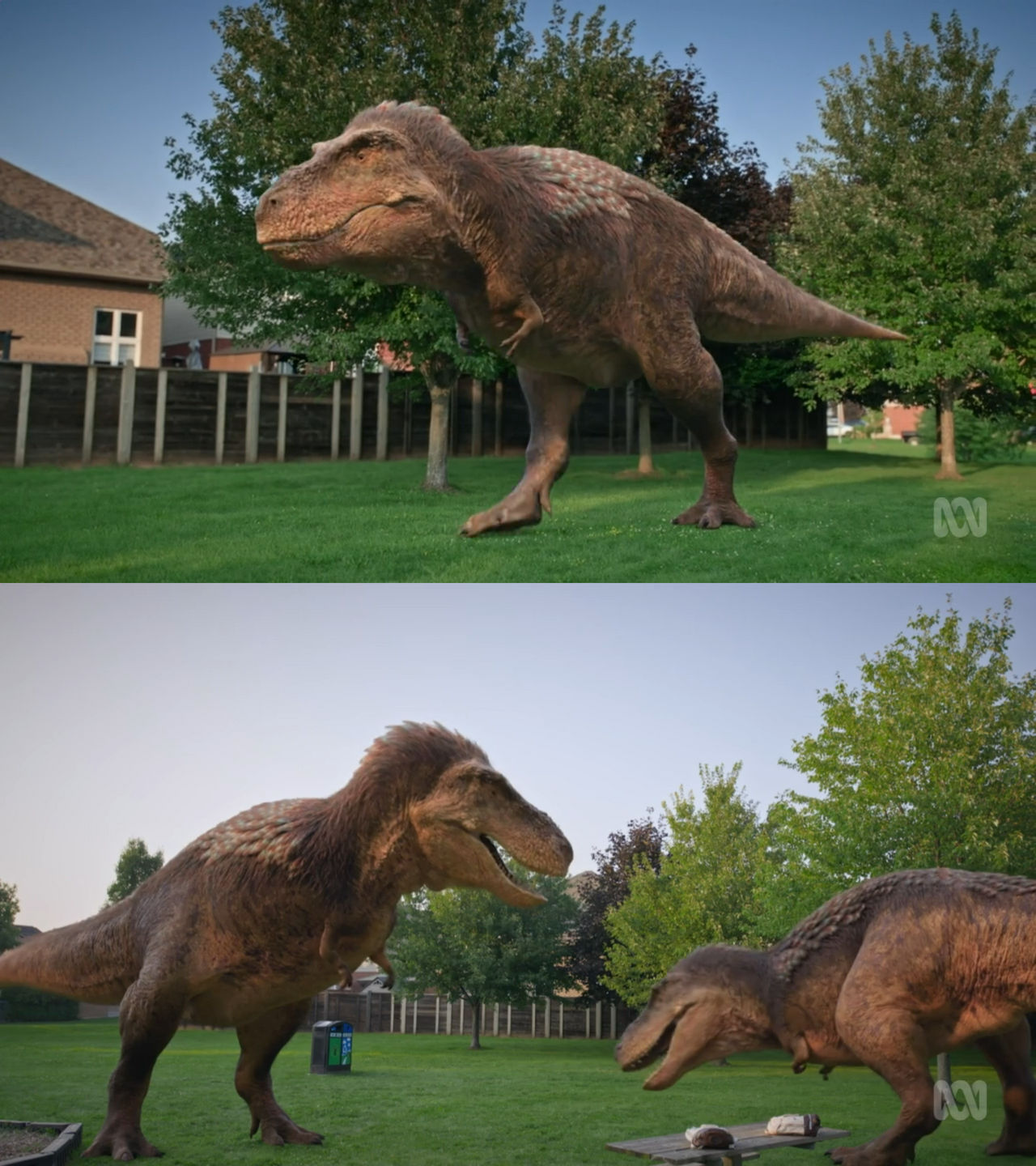 Dex Rex Dino Dex Tyrannosaurus by Mdwyer5 on DeviantArt