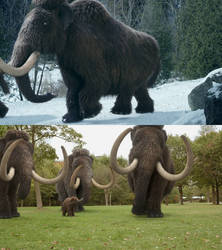 Dino Dana Woolly Mammoth