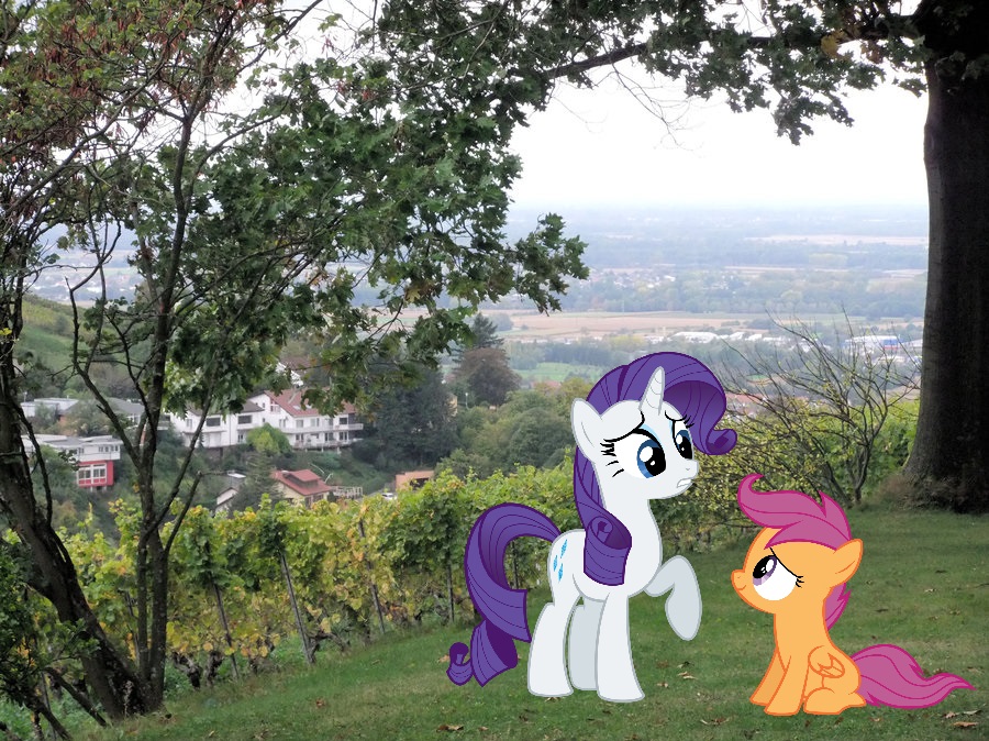 Scootaloo! What are we doing here? [PIRL]