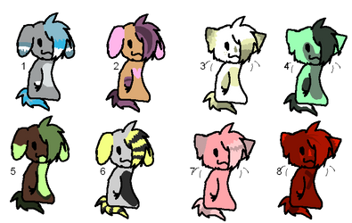 Cat and dog adoptables!