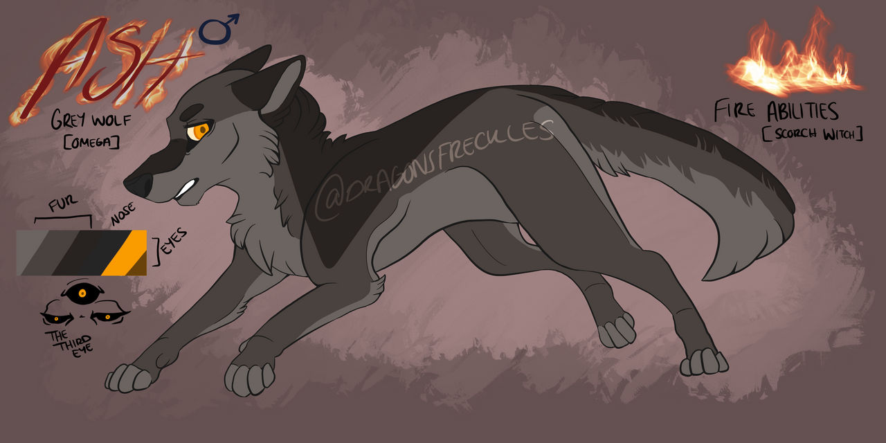 Ash Fire Reference Drawing Ash Redesigned Ref Sheet by dragons-freckles on DeviantArt