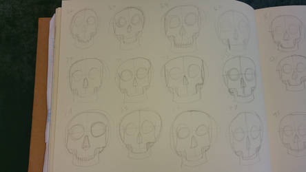 100 Front Facing Skulls 66-77