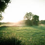 Early sunset over the meadows