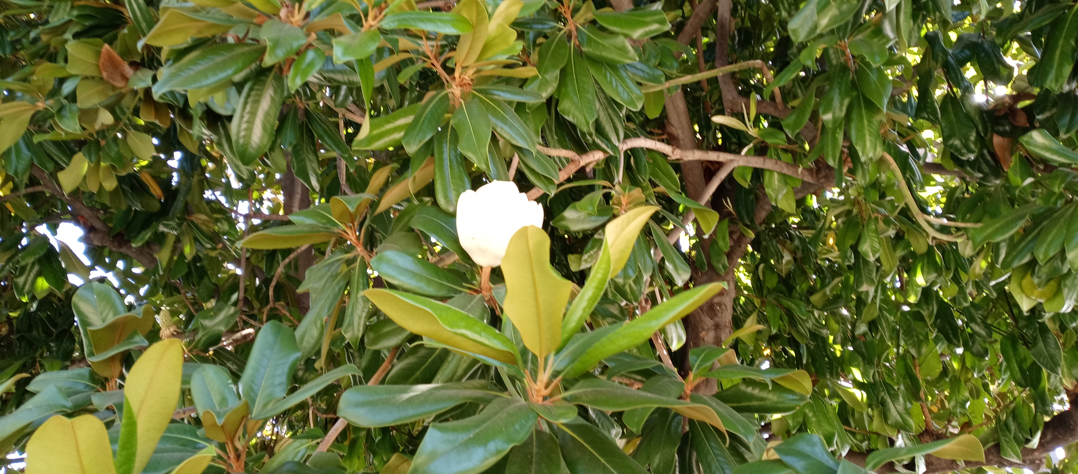 0804231551