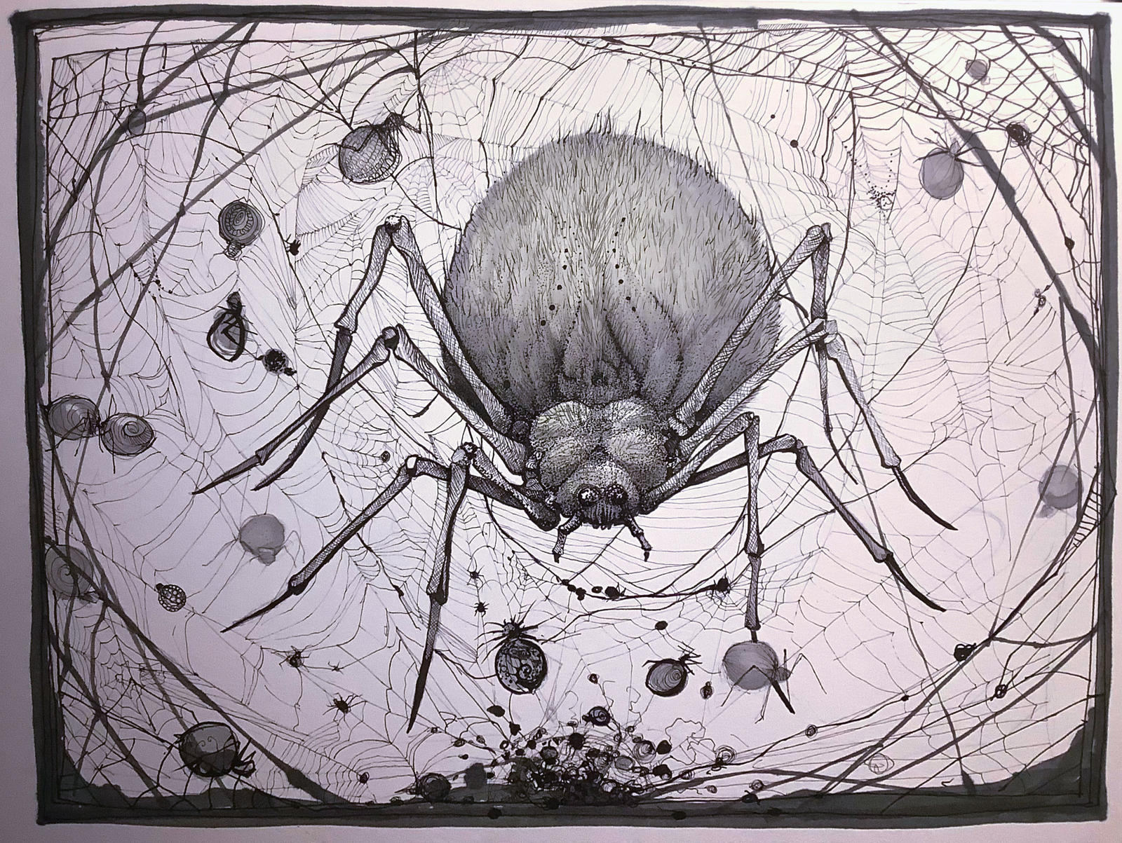 Deviantart Spider Spiders Inktober 2023 by Chobek on DeviantArt