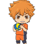 Karasuno-Hinata-Shoyo