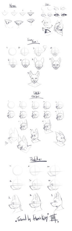 Tutorial- Furry/Anthro heads