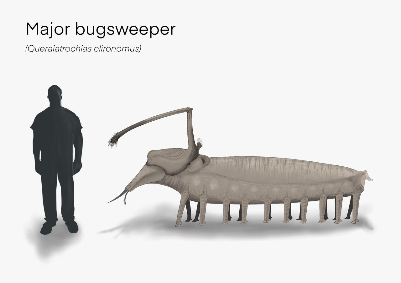 Major Sweeper Major bugsweeper by luc197 on DeviantArt
