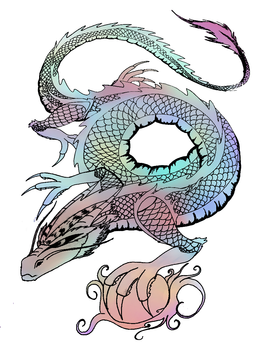 dragon multicolour