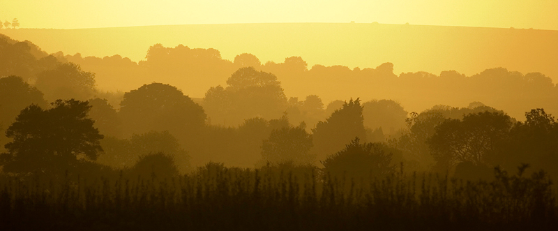 Meon Valley